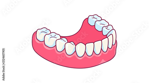 Dentures Isolated Transparent Background Dental Health