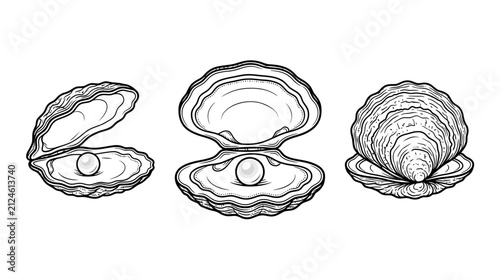 Bild auf Leinwand Three Oysters with Pearls, Isolated, Line Art Illustration