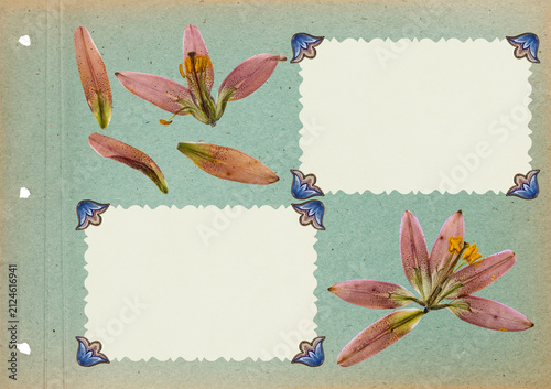 Photo album layout with empty photo frames. Scrapbook composition with floral elements. Page for stories. Page from an old photo album. Dried pressed flowers. For invitations und greetings.