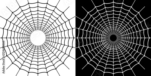 spider web in the morning black in white pattern.