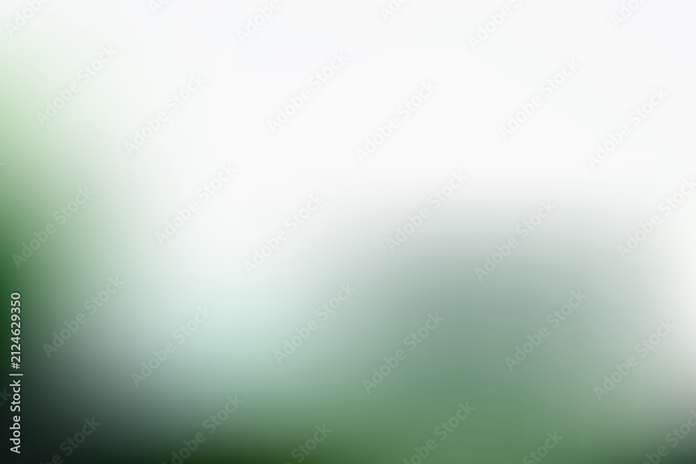 Fototapeta premium Soft blurred gradient background, with white and, forest green tones