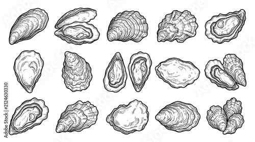Bild auf Leinwand Seafood Oyster Illustrations Isolated Transparent Background