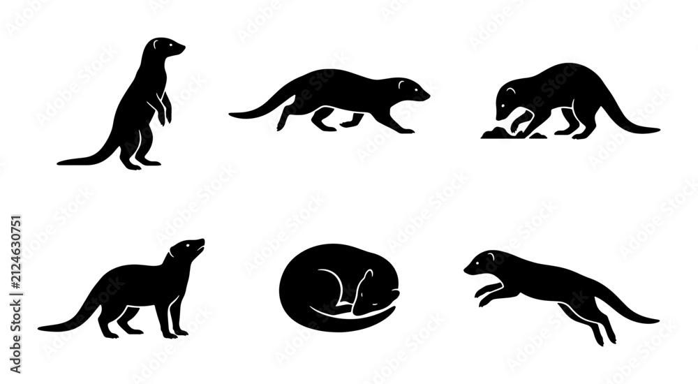 Obraz premium Ferret Animal Silhouettes, Wildlife Icons, Mammal Vector Graphics, Pet Collection