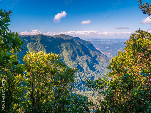 View of Mountain Through Trees