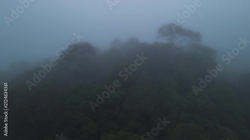 Aerial view of misty primary tropical rainforest canopy at dawn near Sungai Tembeling, Al-Sultan Abdullah Royal Tiger Reserve, Pahang, Malaysia