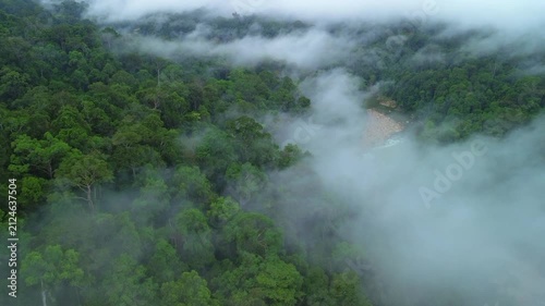 Aerial vertical reveal of primary tropical rainforest along Sungai Tembeling through morning mist to forested hills, Al-Sultan Abdullah Royal Tiger Reserve, Pahang, Malaysia