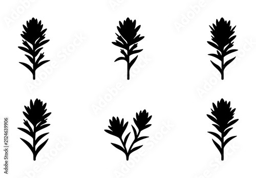 Set of 6 Black Silhouette Indian Paintbrush Flower Vector Icons, Botanical Elements