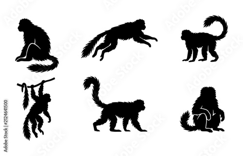 Photography Monkey Silhouettes, Primate Vector Icons, Jungle Animals, Wildlife Collection, B