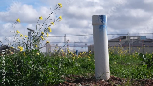 a white PVC utility pipe protruding from the ground on an undeveloped grassy lot in an outer suburb, Melbourne Australia, with construction fencing and house in background.
