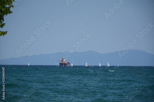 A dry-cargo ship and small white sailboats in the distance. Seascape
