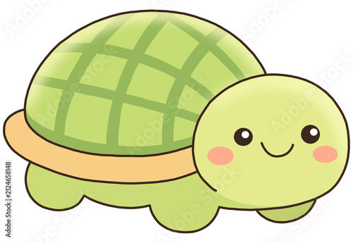 turtle 
