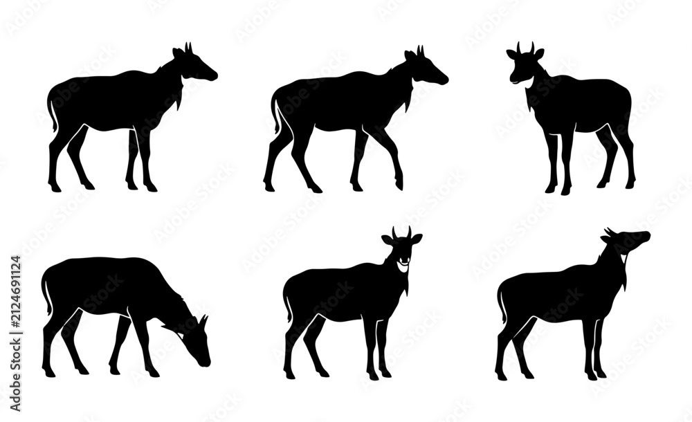 Fototapeta premium Nilgai Antelope Silhouettes, Wildlife Animal Poses, Vector Graphic Collection