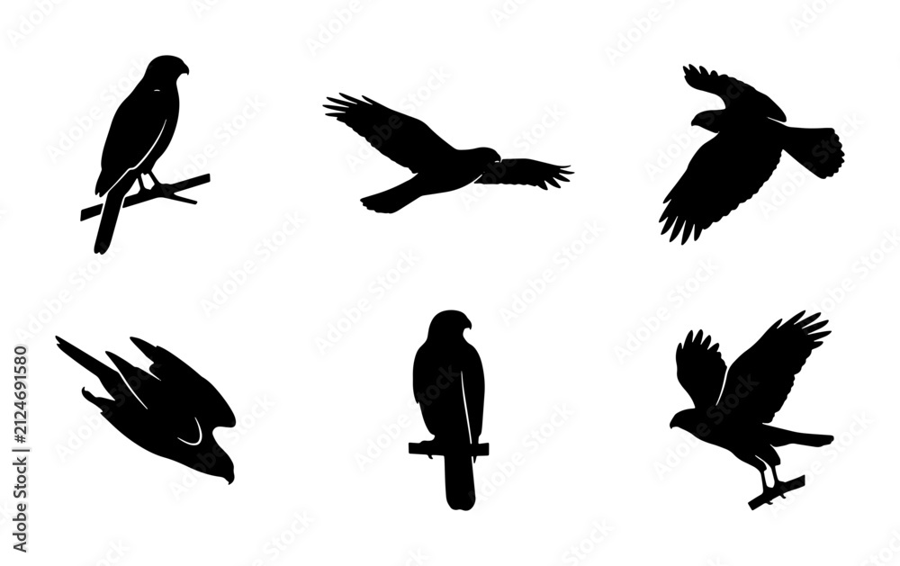 Naklejka premium Bird Silhouettes Vector Set: Majestic Hawks in Flight and Perched, Graphic Elements