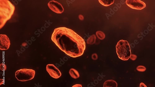 Microscopic View of Red Blood Cells Flowing in Bloodstream Animation