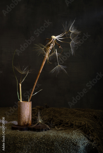 Quadro su tela The dandelion has almost flown away