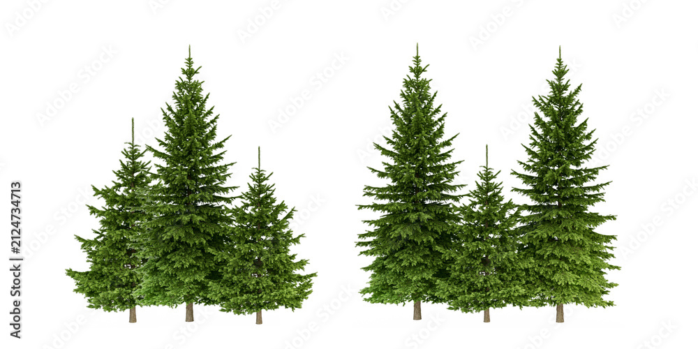 Obraz premium Set of green pine trees isolated on transparent background