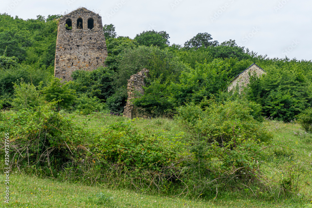 Fototapeta premium A field of green grass, bushes. A stone tower with windows. The ruins of an old settlement. Medieval palace complex. Khakhalajvari, Bolnisi district, Georgia