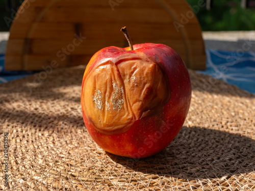 Close-up of a red apple with a large wrinkled brown lesion and visible fungal growth caused by advanced fruit decay. The image illustrates apple brown rot, food spoilage, crop disease, improper storag