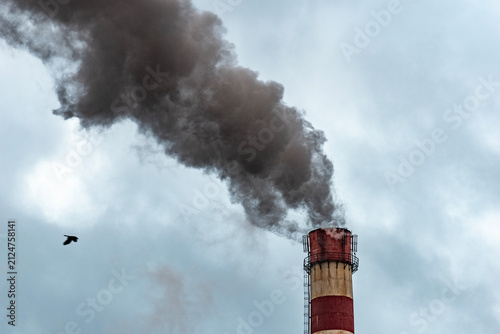 Industrial Chimney Emitting Dark Smoke into Cloudy Sky

Description

Thick dark smoke rises from an industrial chimney as a bird flies nearby, illustrating air pollution, industrial emissions, environ