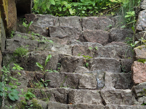 Stairs made of granite cubes and green plants
