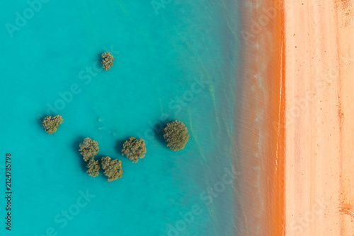 Aerial view of Tree in ocean along red sandy coastline with turquoise water at Red Sand Beach, Roebuck Bay, Broome, Western Australia
