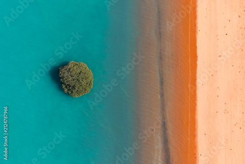 Aerial view of Tree in ocean along red sandy coastline with turquoise water at Red Sand Beach, Roebuck Bay, Broome, Western Australia