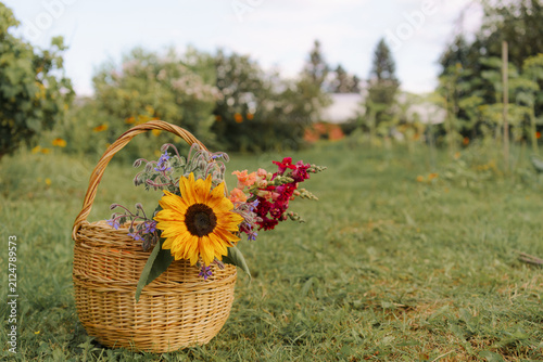 Wicker basket with flowers, small cottage garden, background with copy space