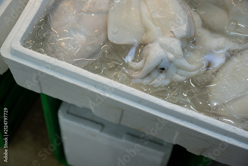 Quadro su tela Fresh cuttlefish displayed in water at traditional Korean local seafood market