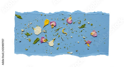 PNG - A beautifully textured blue paper craft sheet with torn edges and scattered dried flower petals, leaves, and tiny botanical fragments in various colors.