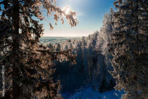Beautiful winter scenery in forest during sunrise captured from above
