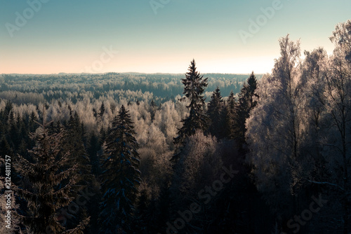 Beautiful winter scenery in forest during sunrise captured from above