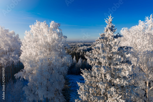 Beautiful winter scenery in forest during sunrise captured from above