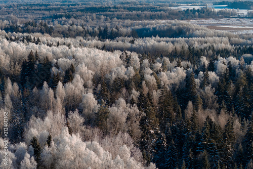 Beautiful winter scenery in forest during sunrise captured from above