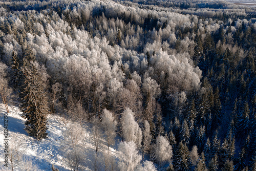 Beautiful winter scenery in forest during sunrise captured from above