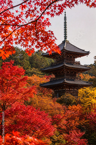 Cuadro en lienzo Japanese pagoda surrounded by autumn maple leaves