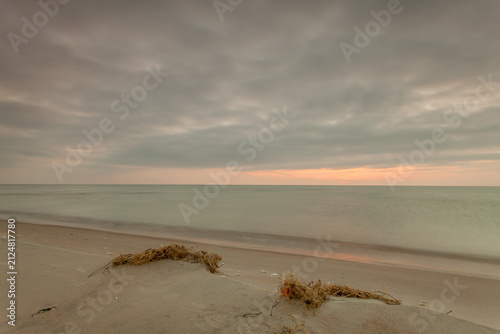 Фотография Calm beach with seaweed ring at dusk