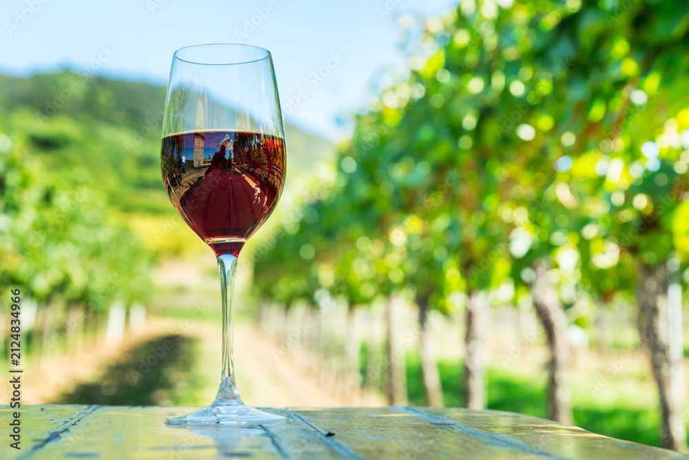 Obraz premium Glass of red wine placed on wooden table in green vineyard