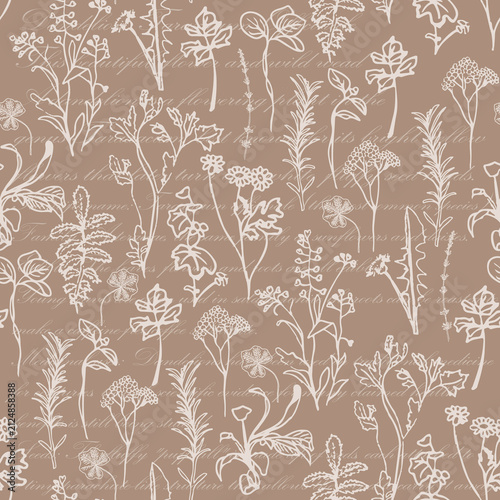 Herbarium vintage Botanicals background textures and backdrop 