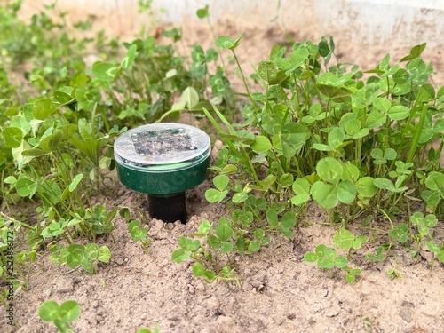 Konstfotografi Solar powered ultrasonic mole repeller installed in backyard garden lawn covered with clover