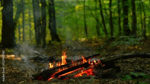 Seamless loop of a cozy campfire in a lush green forest with realistic audio. Relaxing background video with fire crackling sound for ASMR, sleep, study and meditation.