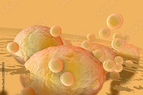 3D Rendered Illustration, visualization of Fat Cells clogging together in the human body