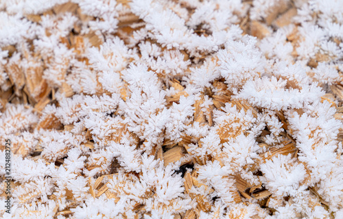 Фотография Frosted wooden splints