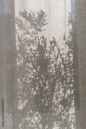 Delicate botanical shadows cast on a linen curtain by natural sunlight. Minimal abstract composition evoking calm, warmth and slow living.