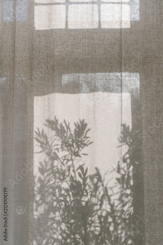 Delicate botanical shadows cast on a linen curtain by natural sunlight. Minimal abstract composition evoking calm, warmth and slow living.