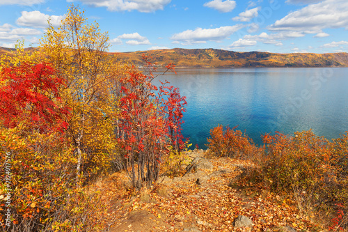 Autumn landscape Baikal Lake. The famous Cape Shamansky. Red rowan bushes and yellowed birches adorn the peninsula on a sunny September day. Nature background. Active recreation, hiking and travel