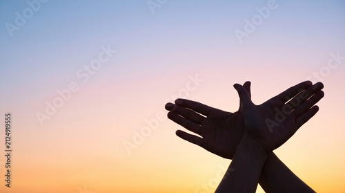 Hands forming a bird shadow puppet against a beautiful gradient sunset sky.