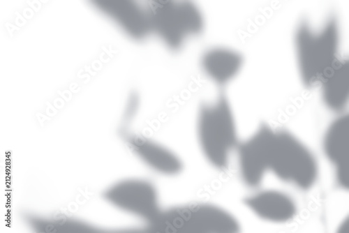 PNG Shadow of leaves transparent