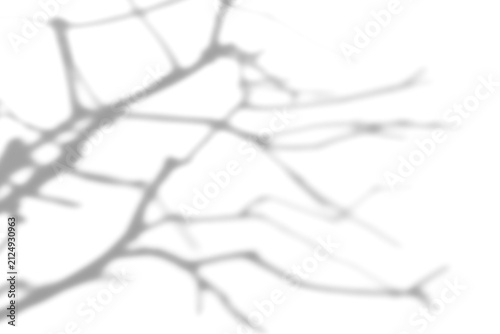 Canvas Print Dried branch shade shadow png