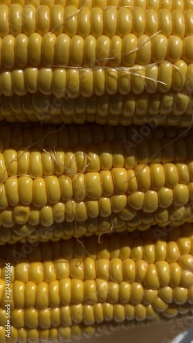 Close-up of Fresh Yellow Corn Cobs in Bright Sunlight. High-quality macro footage of fresh, ripe yellow sweet corn cobs glowing under bright natural sunlight. The detailed shot highlights the vibrant 