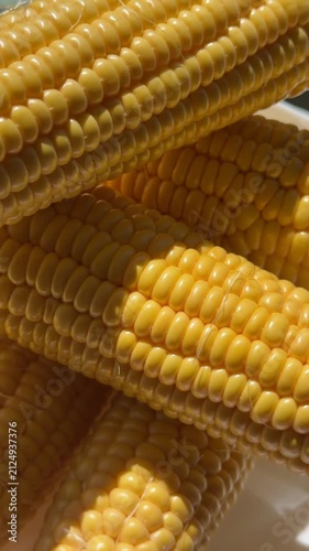 Close-up of Fresh Yellow Corn Cobs in Bright Sunlight. High-quality macro footage of fresh, ripe yellow sweet corn cobs glowing under bright natural sunlight. The detailed shot highlights the vibrant 